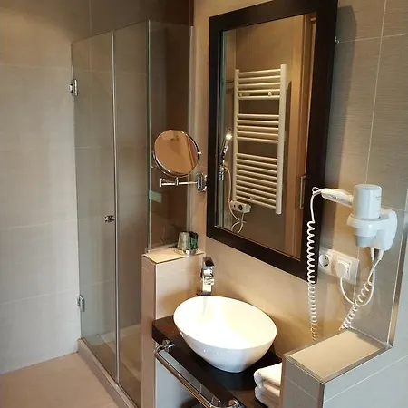 拱门酒店 3* Tudela de Duero