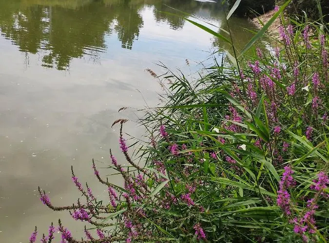 Hotel Puerta Del Arco